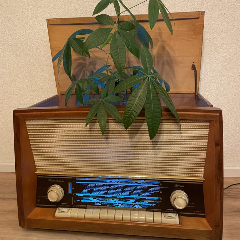 Radio-Box