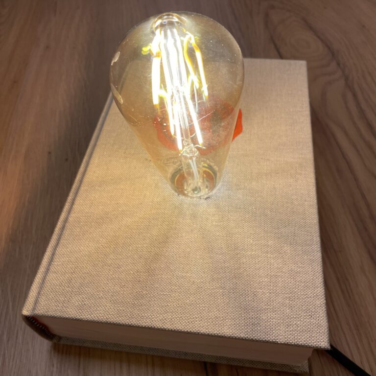 Buchlampe
